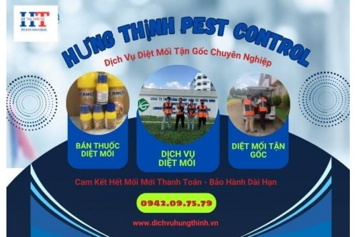 Dịch Vụ Kiểm Soát Côn Trùng Là Gì ?