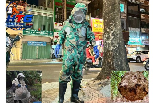 Dịch vụ bắt ong tại Bình Thạnh TP. Hồ Chí Minh,Chuyên nghiệp an toàn giá rẻ