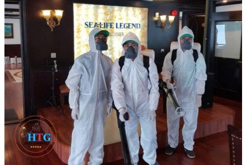 Dịch Vụ Bắt Tổ Ong Tại Tây Ninh