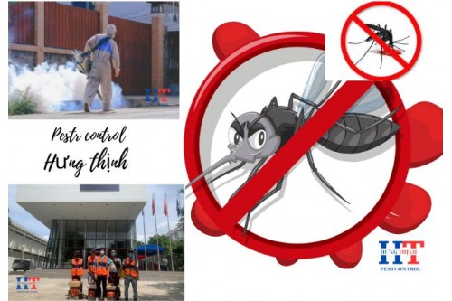 Dịch Vụ Phun Thuốc Diệt Muỗi Chuyên Nghiệp Tại Long An 
