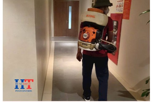 Dịch Vụ Diệt Côn Trùng Tại Trảng Bom  Đồng Nai