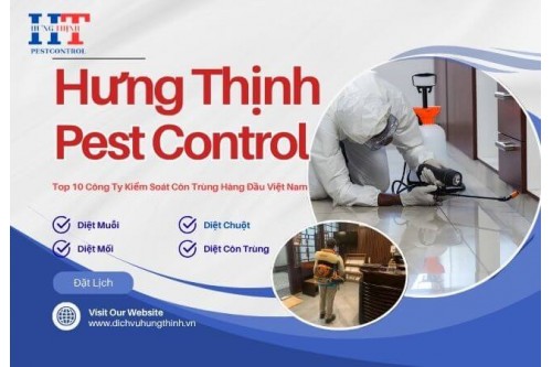 Dịch Vụ Diệt Muội Tại Quận Tân Bình Giá Rẻ