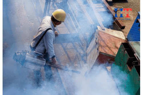 Dịch Vụ Diệt Côn Trùng, Muỗi, Mối Tại Nhơn Trạch