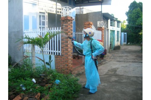 Dịch Vụ Diệt Muỗi Tại Long Thành Đồng Nai