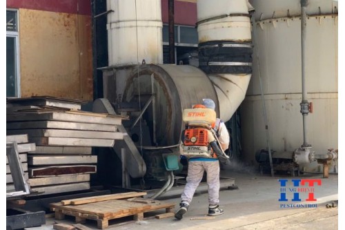 Dịch Vụ Diệt Côn Trùng Tại Hốc Môn TP. Hồ Chí Minh