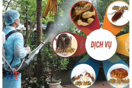 Dịch Vụ Diệt Côn Trùng Tại Quận 12 TP. Hồ Chí Minh 
