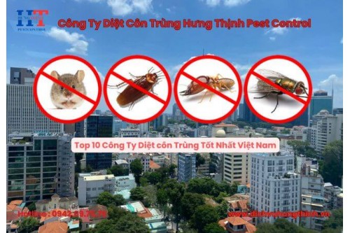 Công Ty Dịch Vụ Diệt Chuột Tại Bến Cát