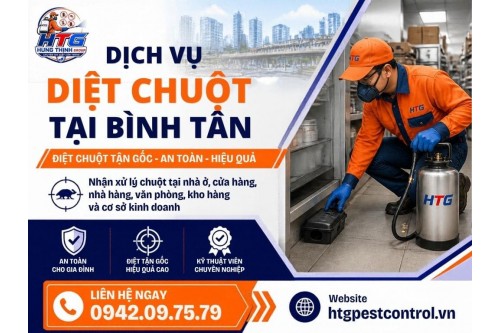 Dịch vụ diệt chuột tại Bình Tân TP. Hồ Chí Minh,Diệt tận gốc giá rẻ