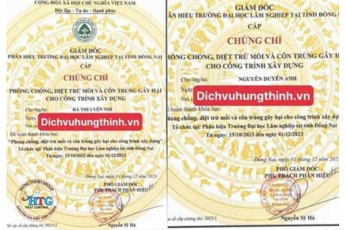 Dịch vụ diệt mối tại Thủ Đức TP.Hồ Chí Minh