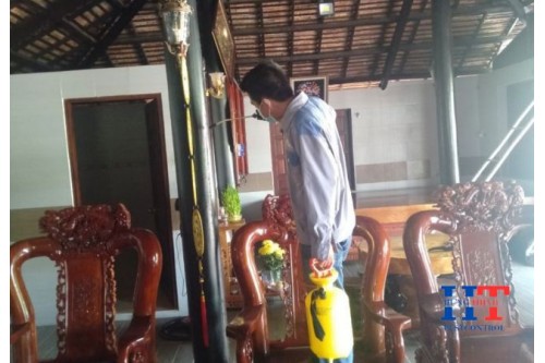 Dịch vụ diệt mối tại Hóc Môn TP.Hồ Chí Minh 