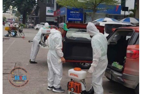 Kiểm Soát Côn Trùng Định Kỳ Trường Anh Quốc