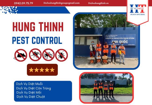 Top 10 Công Ty Dịch Vụ Diệt Muỗi Tại TP. Hồ Chí Minh